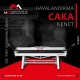 CK TDF 2520 x 1,2 mm Havalandırma Caka Kenet